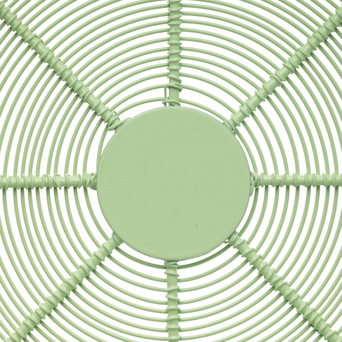 Fruit Wire Basket (Green)