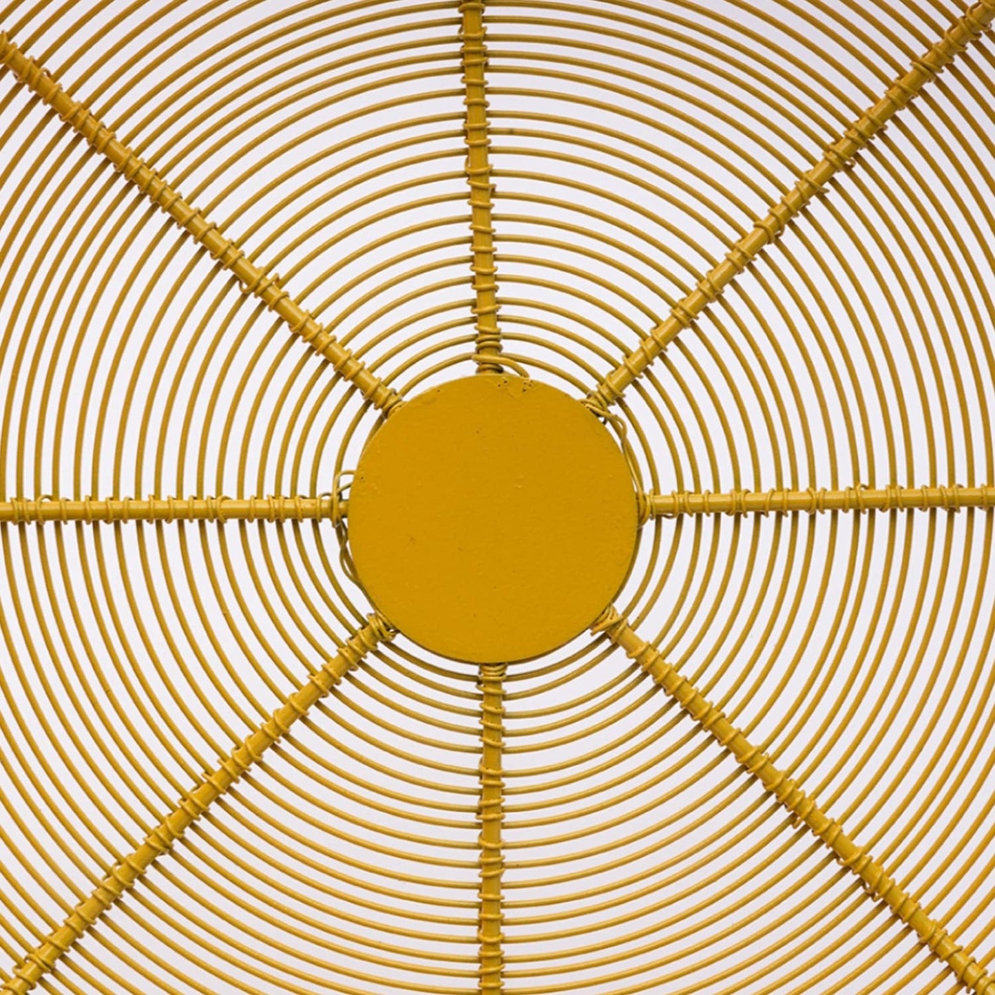 Fruit Wire Basket