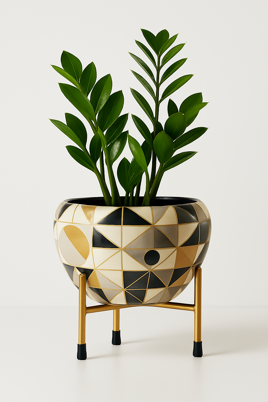 Geonora – Calm. Clean. Contemporary.