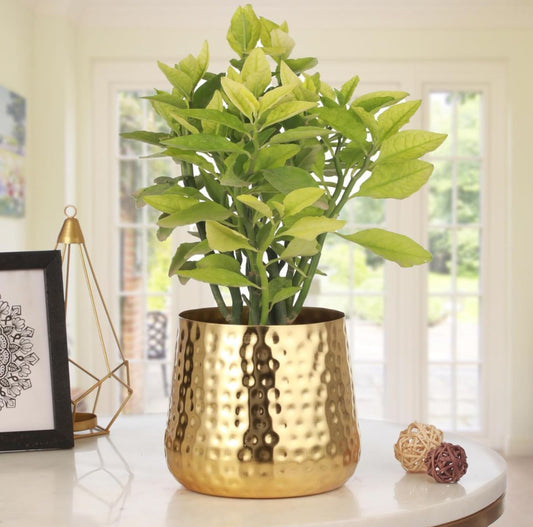 Regular Gold Hammered Planter