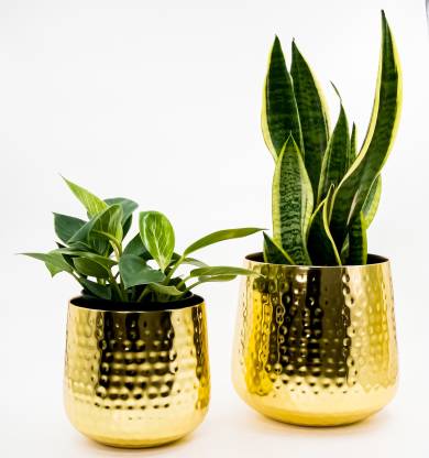 Regular Gold Hammered Planters, Set of 2