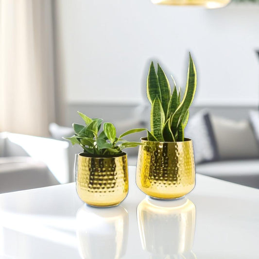 Regular Gold Hammered Planters, Set of 2