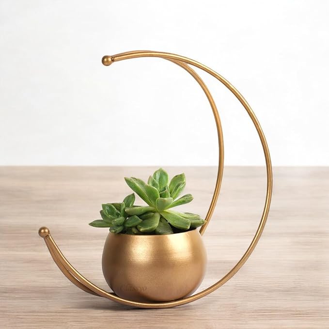 Golden Crescent Flower Vase