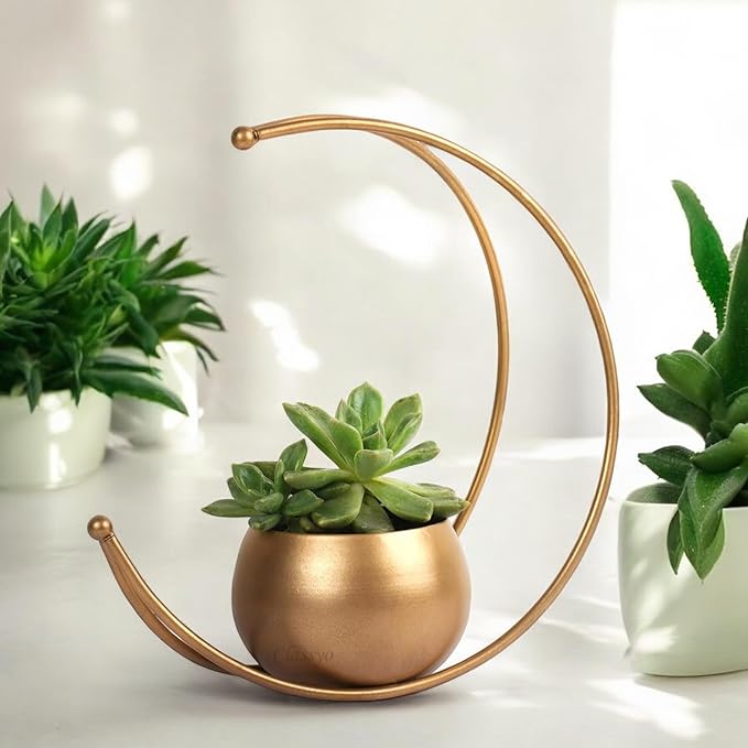 Golden Crescent Flower Vase